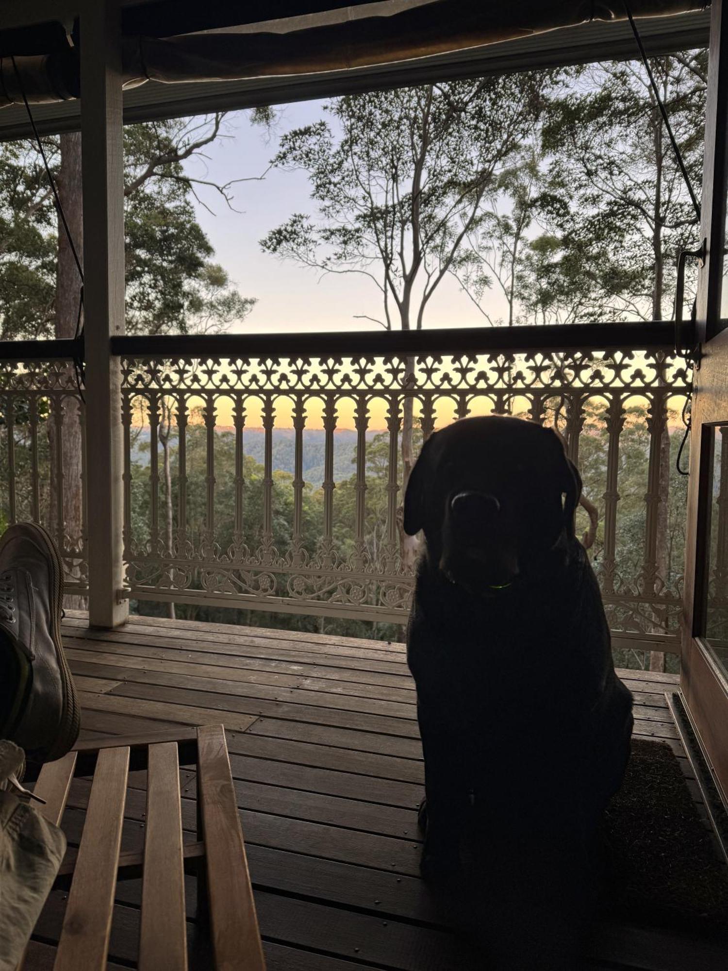 Heaven In The Hills Retreat Villa Maleny Ngoại thất bức ảnh